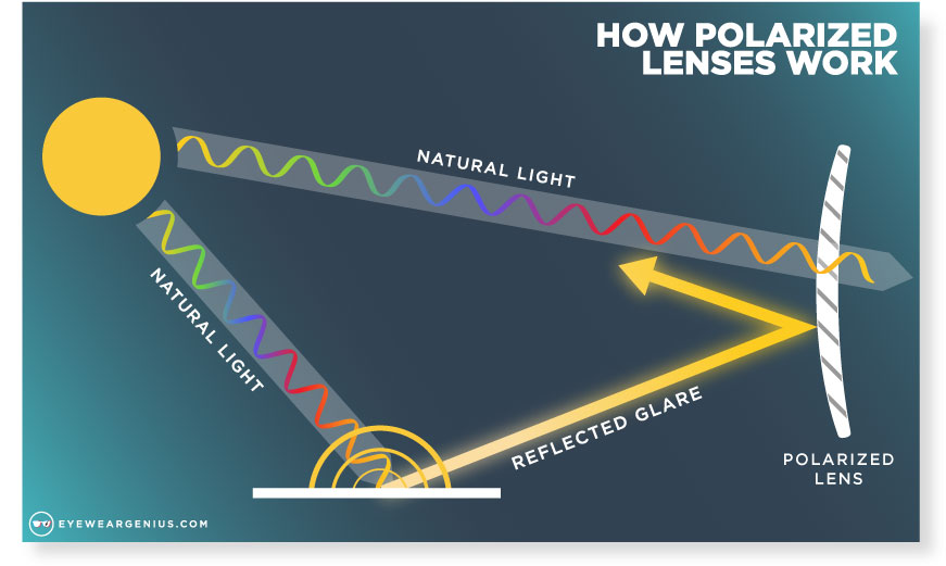 How Polarized Lenses Work - Eyewear Genius