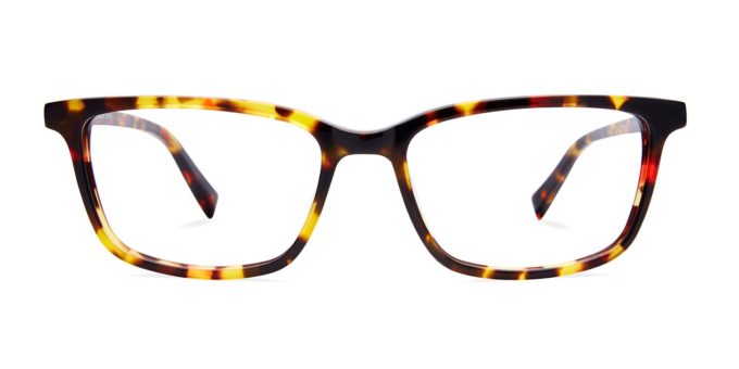 Wells - Classic Tortoise Blue Light Glasses | Size